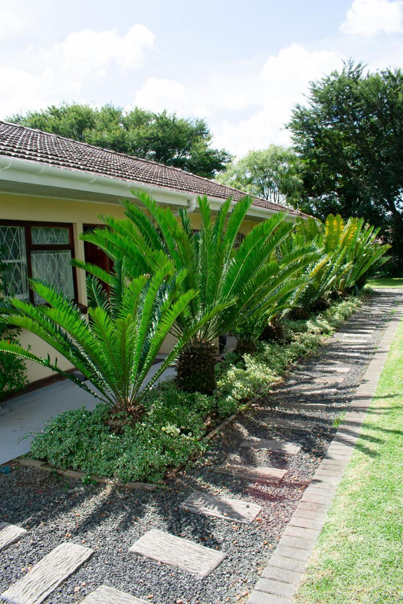 Chez Nous Bed And Breakfast & Self Catering Dundee Exterior photo